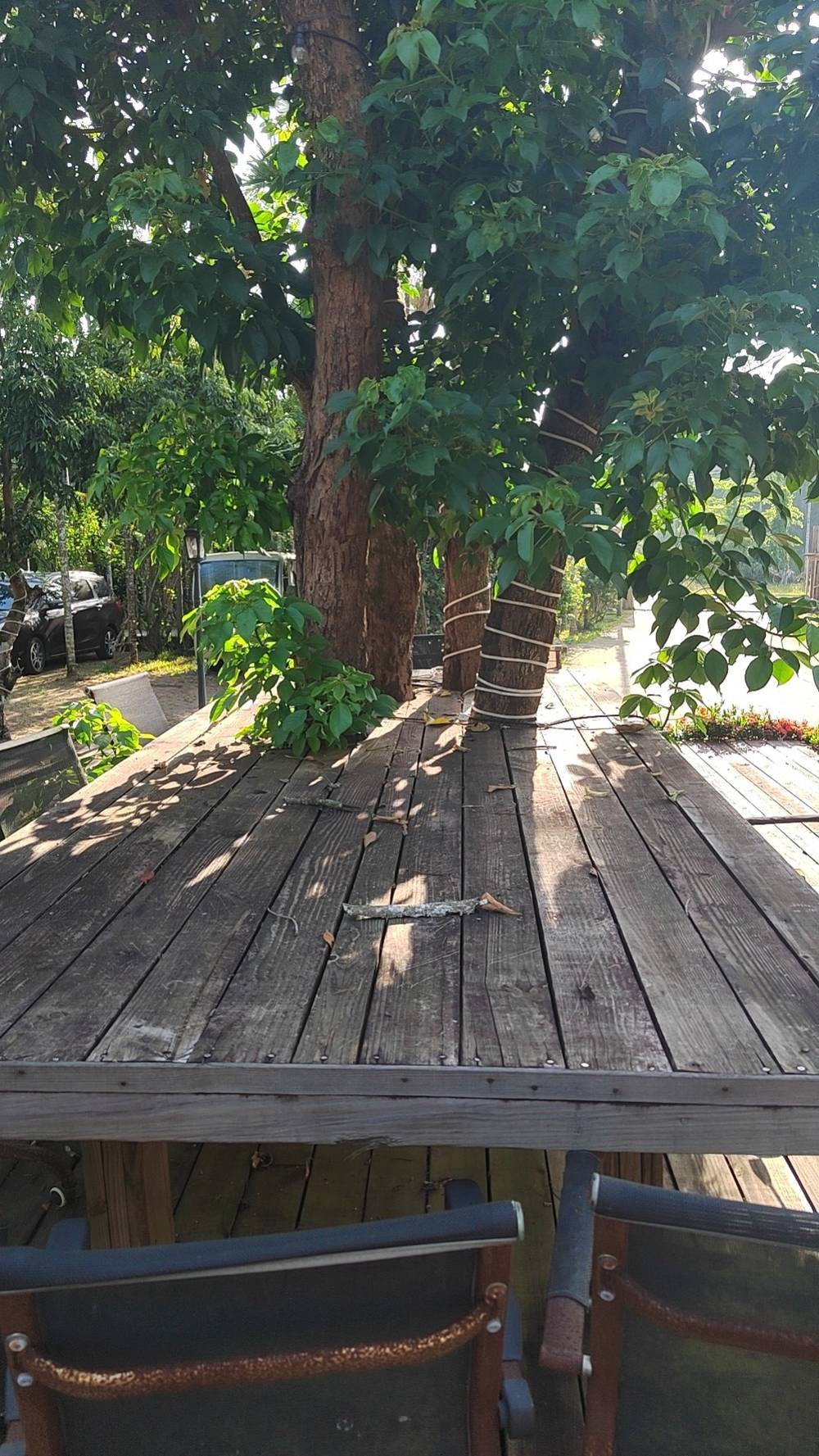 湿地风光 · 碧波荡漾